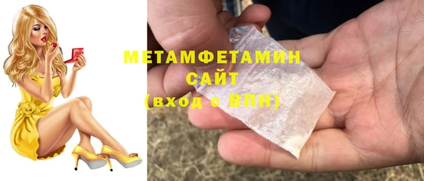 прущие грибы Богданович