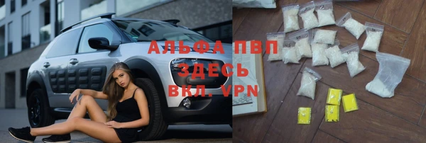 прущие грибы Богданович