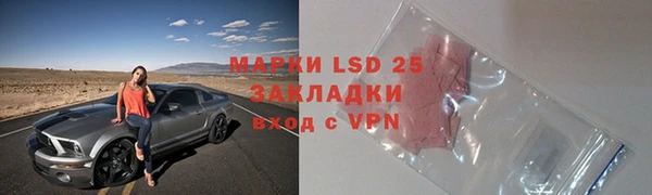 прущие грибы Богданович