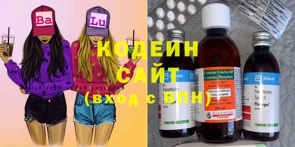 прущие грибы Богданович