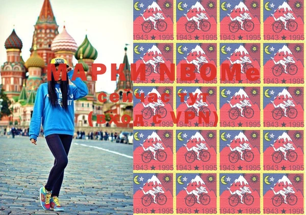прущие грибы Богданович