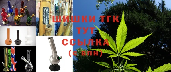 прущие грибы Богданович